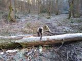 Log 2