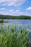 14 - Clouds and Cattails.jpg