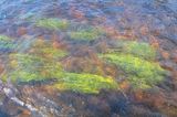 30 - Painterly Pollution.jpg