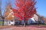 3 - Horse Barn-3.jpg