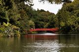 240401_Pukekura-0978w.jpg
