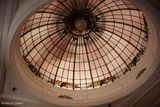241114Napier2622-w.jpg