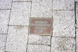 241116Napier2743-w.jpg