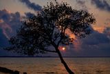 DSC02177.jpg