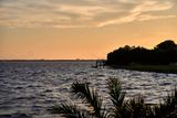 DSC02217.jpg