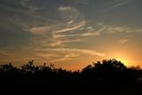 DSC02226.jpg