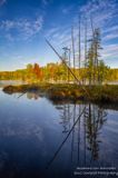 Fall colors at Audie Lake, reflections 1