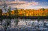 Peak fall colors at Perch Lake 3