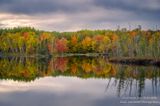 Peak fall colors at Audie Lake, bog reflections