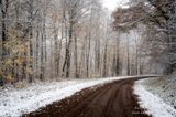 First snow fall of the season 1
