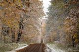 First snow fall of the season, Blue Hills