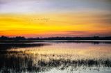 Sunset colors  at Crex Meadows