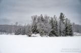 Snowy December day at Audie Lake 3