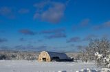 After the Ice & snowstorm, landscape with barn