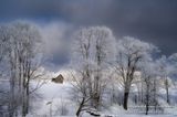 Trees covered with hoar frost and barn