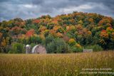 Barn and fall colors, northern Wisconsin