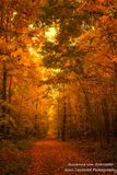 Magical morning light, my driveway, Wisconsin