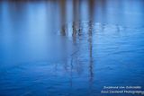 Ice patterns 1