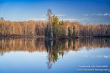 Calm Spring day with reflections, Audie Lake 2
