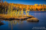 Golden Autumn landscape, Audie Lake, WI