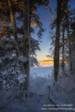 View through some trees, Sand Bay