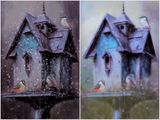 Nuthatch at the birdhouse….