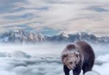 Bear in the snow…