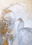 White Peacock…