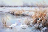 Geese at the Icy Pond….