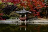 Secret Garden, Seoul