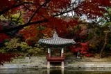 Secret Garden, Seoul