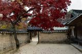 Secret Garden, Seoul