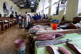 Fish Market, Stone Town