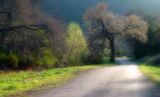 The Road Home