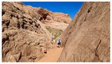 Willow Gulch