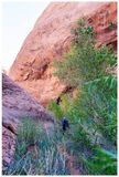 Willow Gulch