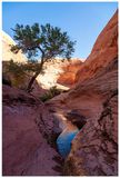 Willow Gulch