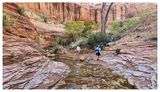 Willow Gulch