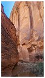 Willow Gulch