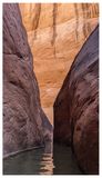 Willow Gulch