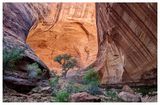 Fortymile Gulch