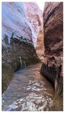 Fortymile Gulch
