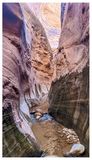 Fortymile Gulch