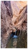 Fortymile Gulch