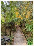 Vassar walk