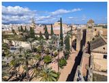 Alczar: Walkway view
