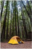 Camping in Humboldt Redwoods State Park 