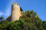 Fortress In Arta
