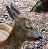 IMG_0891s.jpg