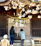 in Mitarai